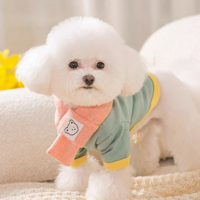 오엔펫 강아지 고양이 외출복 배색 티셔츠 목도리 세트 (+목도리증정)