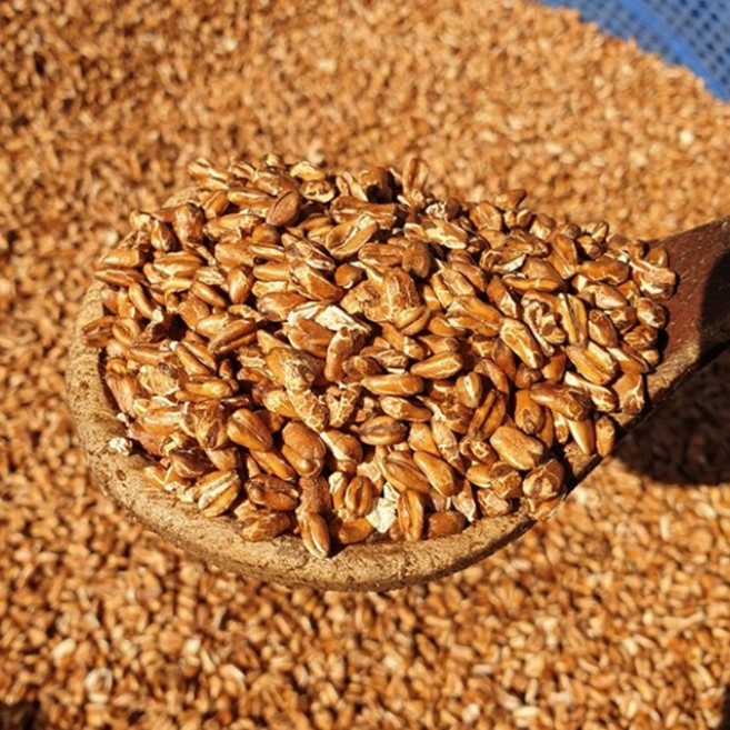 구수한 사람들 속까지튀긴 볶은귀리 뻥튀기 귀리퐁, 1개, 200g