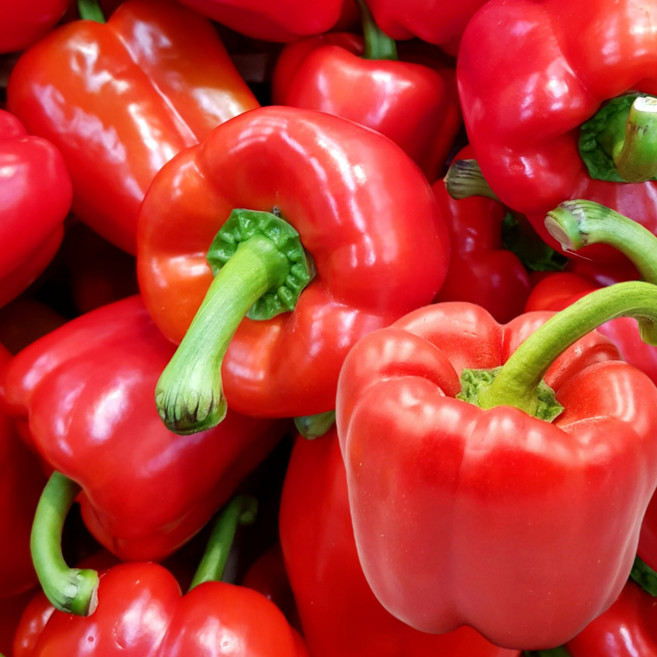 [시크릿가든] 국내산 파프리카 빨강, 1개, 파프리카 1kg