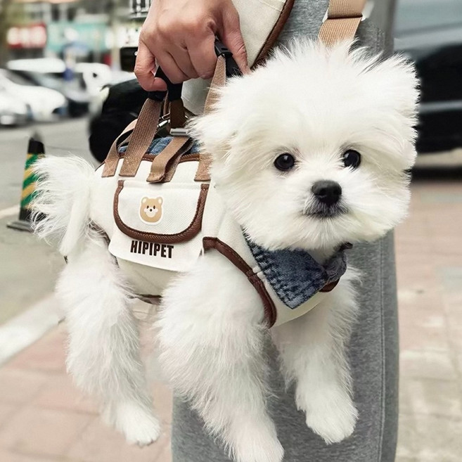 HERON 통기성 경량 2way 크로스 숄더백 강아지 고양이 이동가방 외출용 휴대용 펫가방, 1개, 갈색