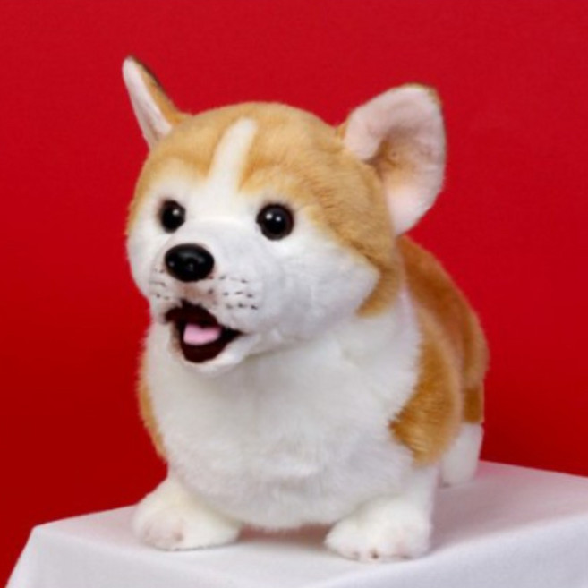 위더펫 웰시코기 강아지 인형, 24cm, 혼합색상, 1개