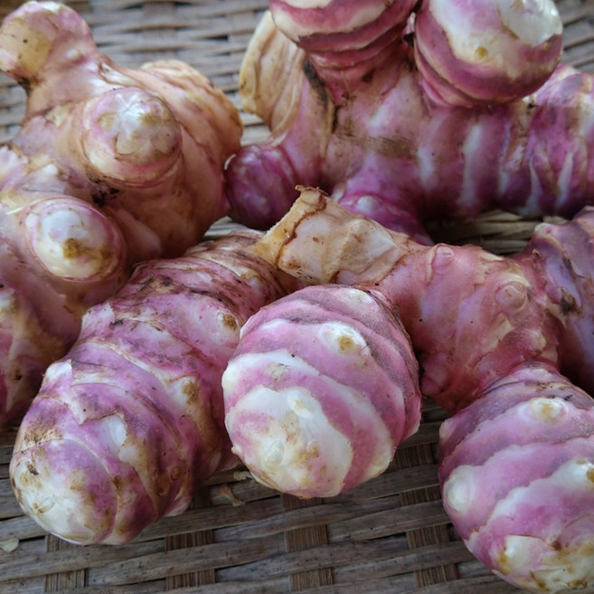 2026 햇 자색돼지감자 생돼지감자 뚱딴지감자 5kg 10kg, 1박스, 돼지감자3kg