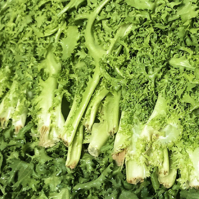 < 바른농산 > 국내산 치커리 쌈야채 쌈채소, 1개, 1kg