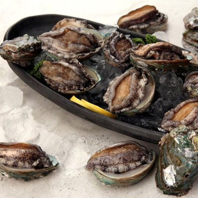 [오초록] 완도직송 완도 활 전복(대) 1kg(12~14미) / 해수 산소포장, 일반포장, 1개