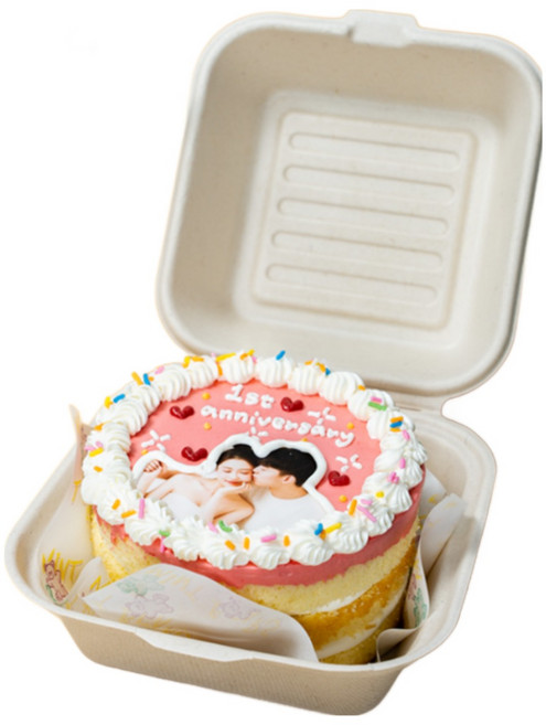 (평일 낮 12시전 주문 오늘출발) 케익팩토리 미니 핑크스냅포토, 1개, 240g