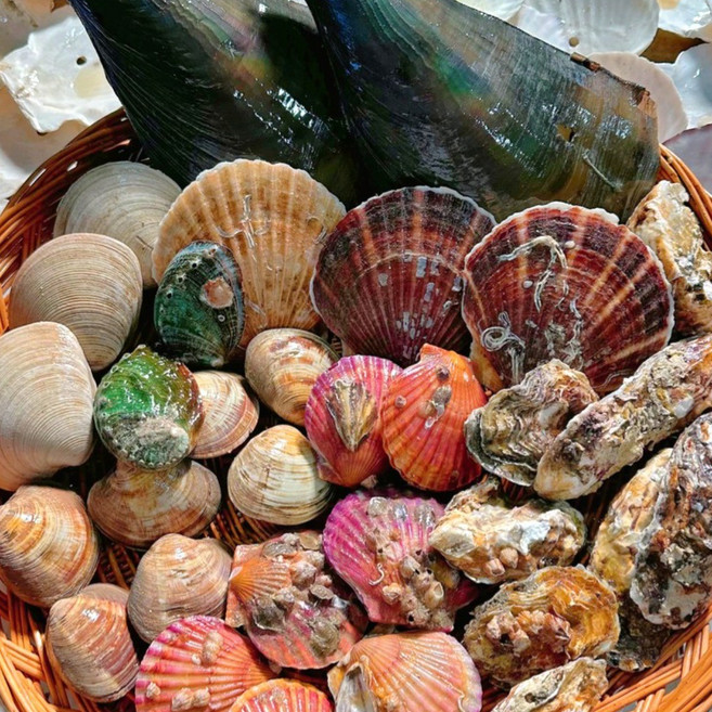 영롱한수산 제철 모듬 조개 고급세트 (7가지 종류) 4kg, 1개, 고급세트(4kg)