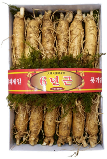 풍기인삼 5년근 6년근 인삼 수삼, 정품 원수삼 750g(10~16뿌리) 선물용 실속포장, 1세트