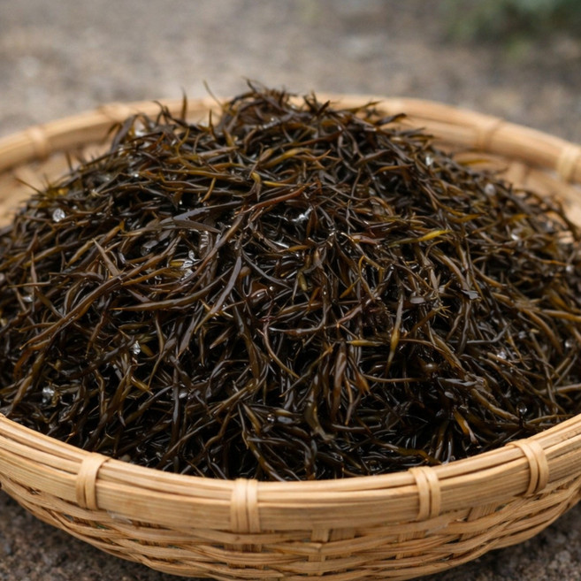 완도 생톳 당일채취 제철 해초 생 톳 1kg / 2kg / 4kg 지아수산, 1개