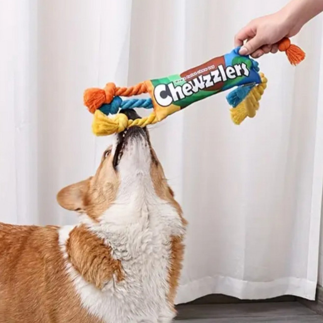 데일리오 Chewzzlers 반려견 강아지 터그 놀이, 1개, 주황파랑노랑