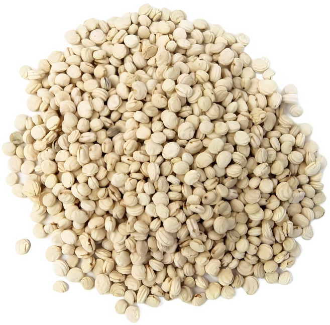 청명약초 청명약초 인삼씨(인삼씨앗)(진생베리)(100g)-국내산, 100g, 1개