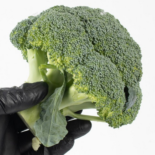 브로콜리 국내산 1KG 국산 브로코리, 브로콜리 1kg 국내산, 1개