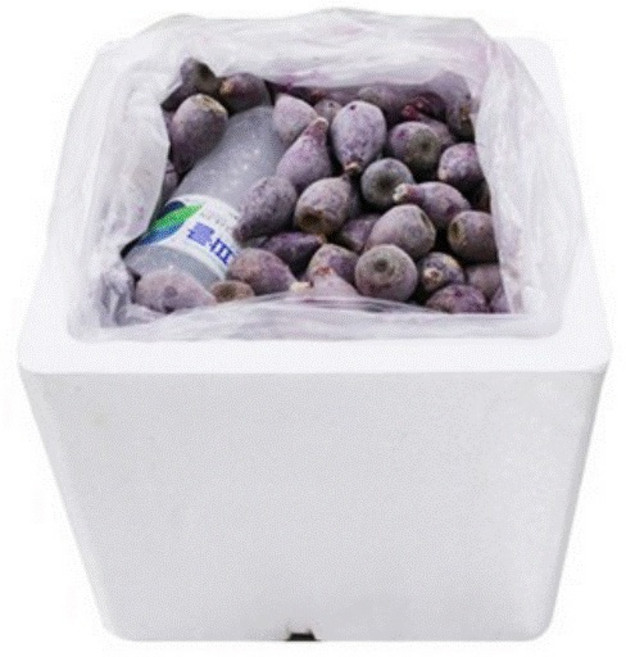 진생마트 제주도 농장수확 냉동 백년초, 1개, 5kg