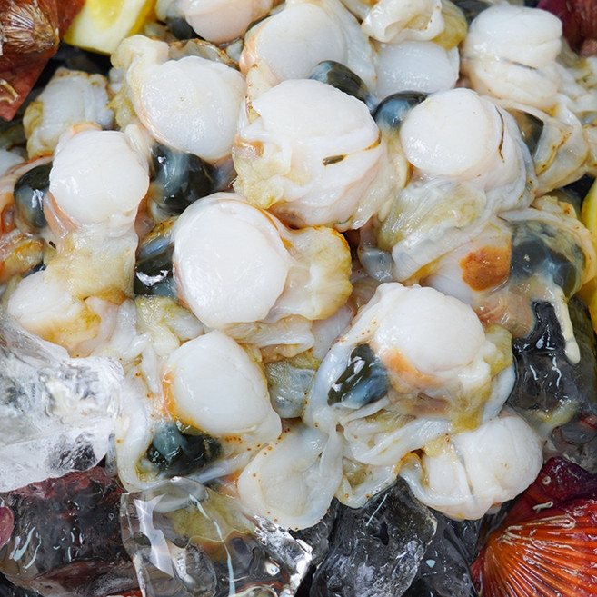 [더신선] 활 가리비 속살 500g / 활 가리비 2kg 손질한 양, 1개