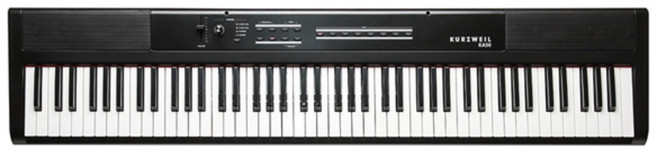 영창 커즈와일 KA50, KA50 (스테이지형), 혼합색상, 1개