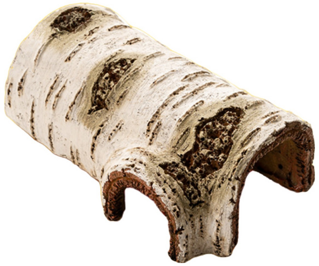 페이토 자작나무 타입 파충류 놀이터 은신처, L, 1개