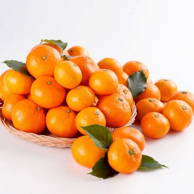 올레농원 서귀포 고당도 감귤, 1박스, 5KG 중과(M)