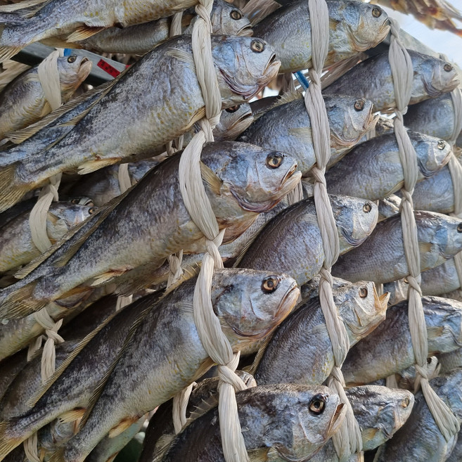 영광법성포 자연해풍건조 프리미엄 보리굴비 27-34cm, 1개, 법성포 자연해풍건조 보리굴비 32-34cm 내외