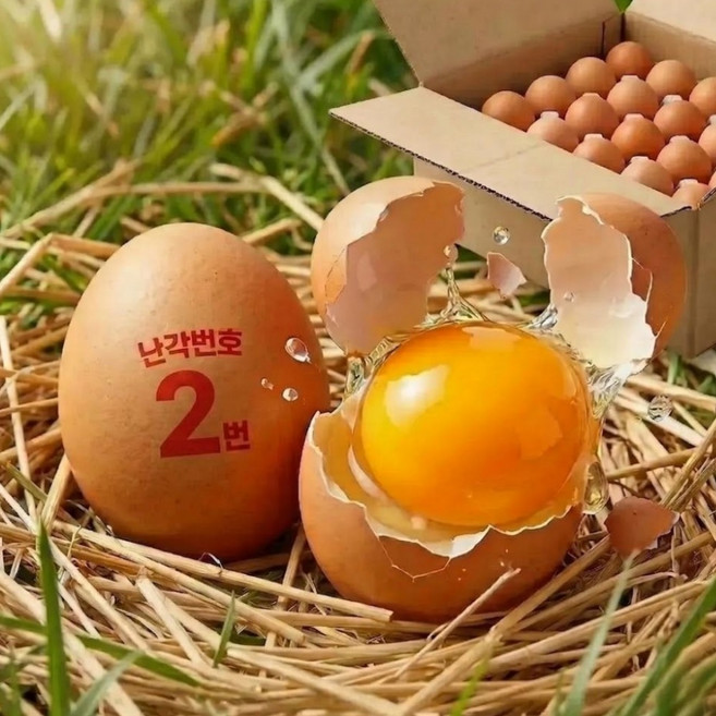 [양계장사람들] 난각번호2번 유정란 특란(XL) 계란 60구, 1개