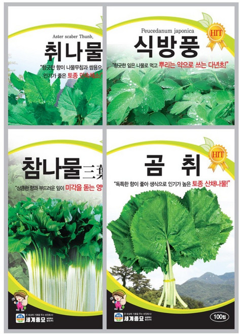 모듬 나물 채소씨앗 4종 A세트 참나물 곰취 취나물 방풍나물 종자 야채씨앗 나물씨앗 모음, 1개