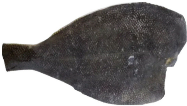 냉동 손질가자미 업소용 대용량 사이즈 150/200, 1박스, 4.5kg