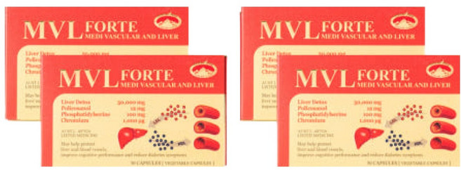 네이쳐스탑 MVL FORTE 폴리코사놀12mg 밀크씨슬 50 000mg 120캡슐 4개월분, 1개, 120정