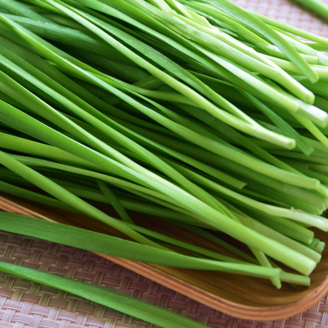 < 바른농산 > 당일수확 국내산 부추 1kg 2kg 4kg 8kg, 1개