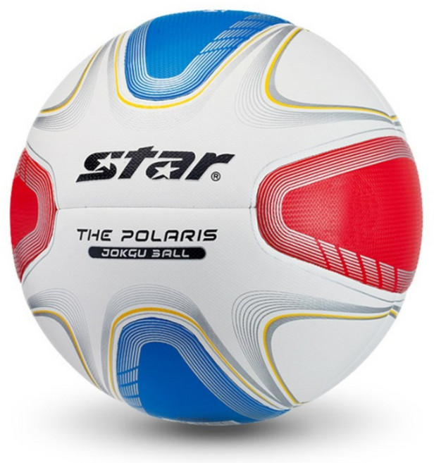 스타스포츠 족구공 더 폴라리스 8판넬 (JB395) + 스타 양방향 공펌프 20cm (XA1083), 공 JB395, 공펌프 XA1083, 1개