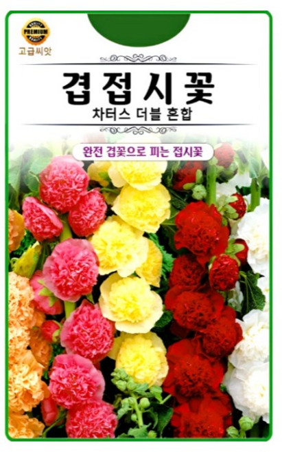 KS종묘 겹접시꽃 30립 차터스 더블 혼합 접시꽃 고급 꽃씨 씨앗 종자, 1개