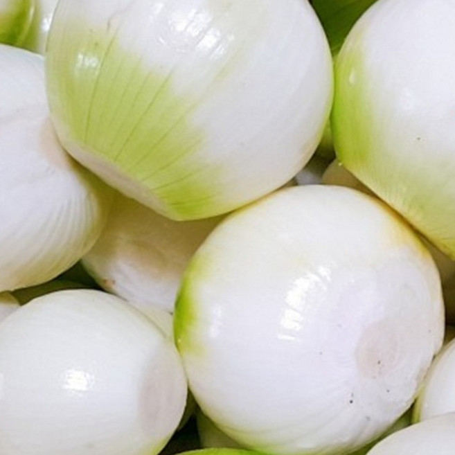 햇양파 신선도 보장 간편한 깐양파 10KG 수입산 식당용, 1개