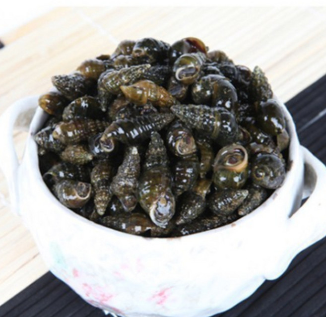 동강청정원 국내산 자연산 생다슬기 가장 큰 사이즈, 1세트, 3kg