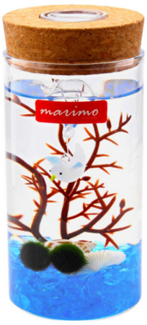 도매토피아 마리모 키우기 LED 유리병, 혼합색상, 1개