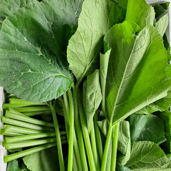호박잎 호박잎쌈 산지직송, 1박스, 400g