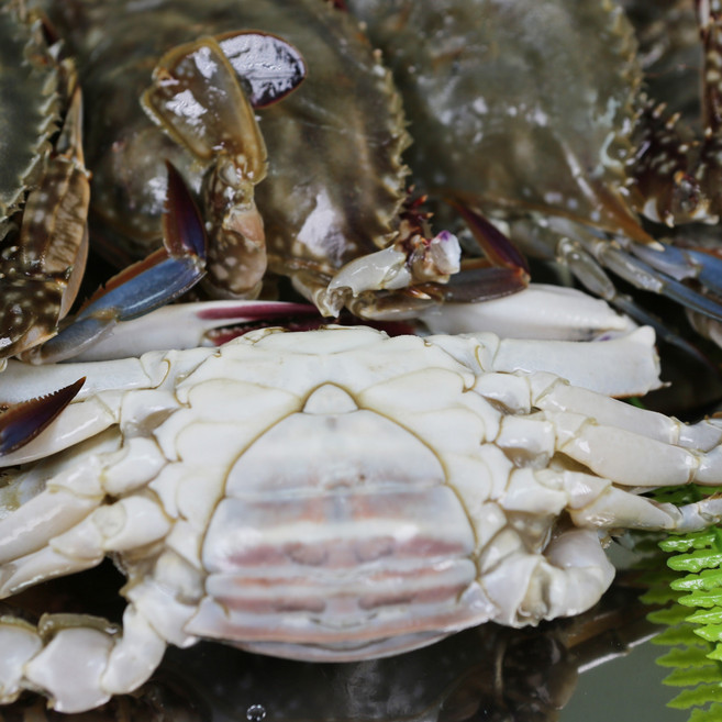 잡아서 곧바로 얼린 국내산 100% 연평도 급냉 암꽃게 [2025년] 가성비, 1박스, 바로 급냉 암꽃게 1kg (5-6미/수분포함 중량