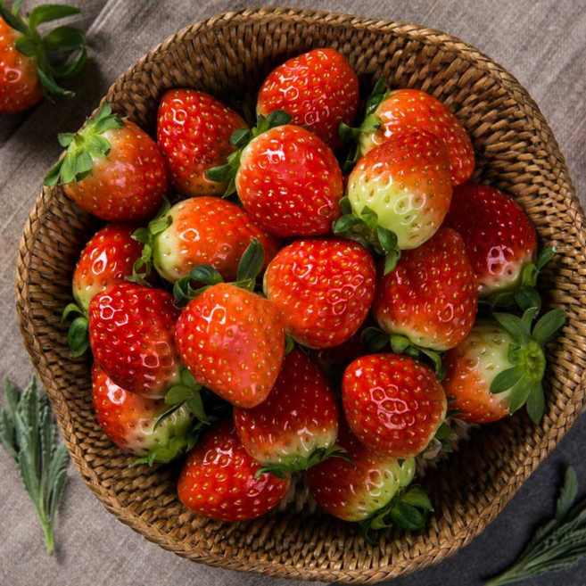 당일수확 논산 고당도 딸기 특품 전용포장, 1개, 설향딸기 700g(40-42구) 상