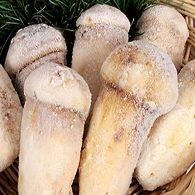 (청림송이 능이) 자연산 냉동송이버섯 (특품), 1개, 냉동송이/BM/1kg