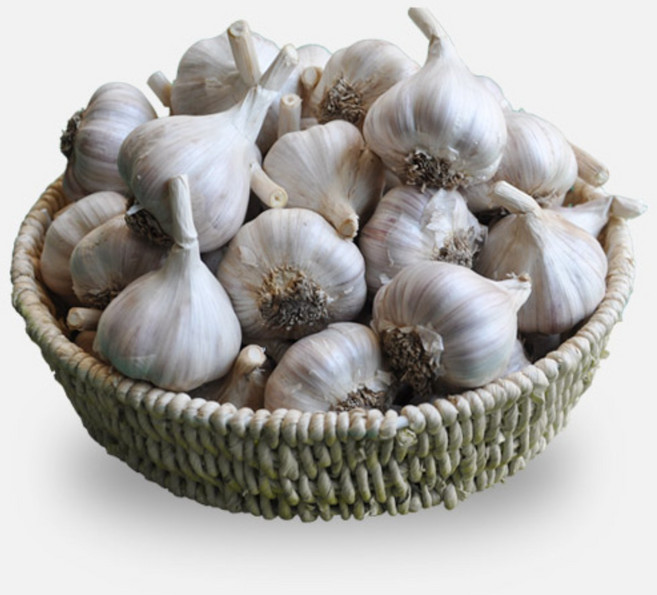 25년 의성 마늘 육쪽 햇마늘 국산 통마늘 한지형, 1개, 중품 3kg 약 100-120개