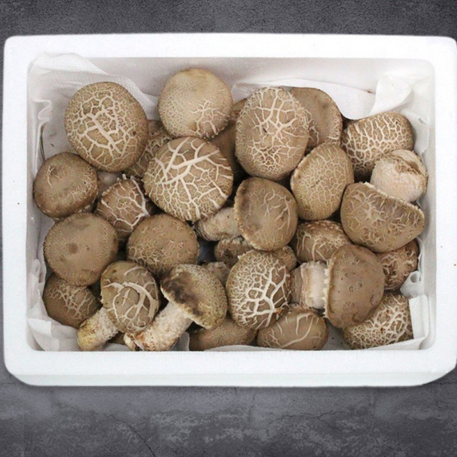[햇님농장] 충북 박대선님의 무농약 송화고 버섯 선물세트 2호, 1세트, 1kg