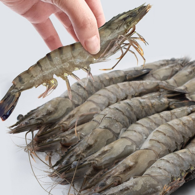 블랙타이거 새우 15미 500g 대하 중하 소금구이 킹타이거새우 킹블랙타이거, [냉매무료]블랙타이거15미+드라이, 1개