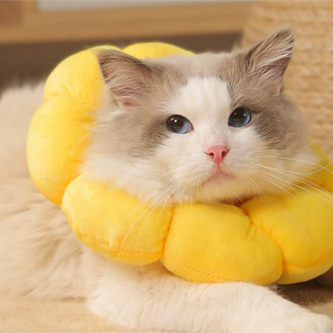 펫다움 반려동물 노란꽃잎 목쿠션 넥카라 생활방수, 1개