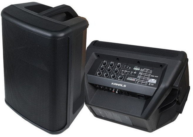 카날스 BSK-300 충전식 버스킹 스피커 기타 악기 블루투스 250W 앰프 스피커 1통, 블랙