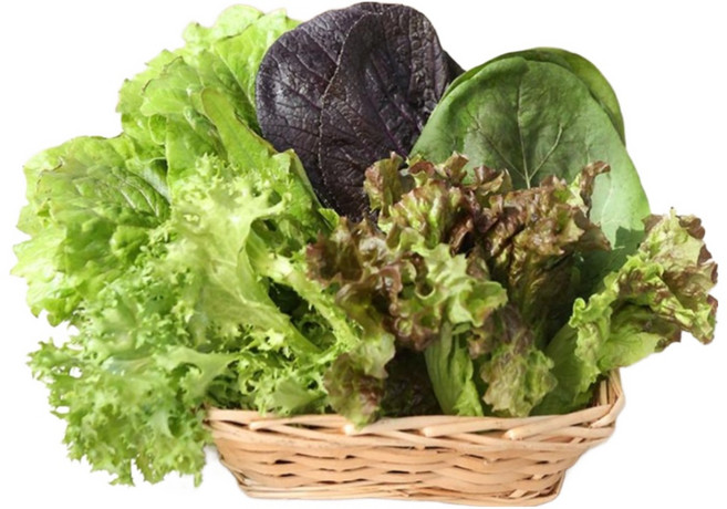 [햇님농장] 충주 유기농 쌈채소 1kg, 1세트