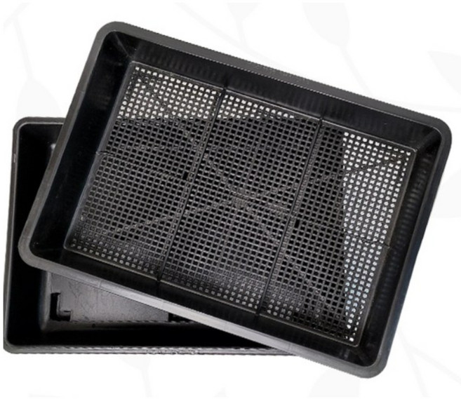 저면관수 삽목상자 제라늄 삽목 화분 트레이 홈가드닝, 삽목상자 (물구멍O), 검정