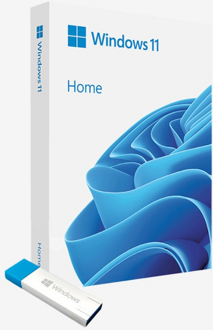 마이크로소프트 Windows 11 Home 처음사용자용 FPP USB, HAJ-00095
