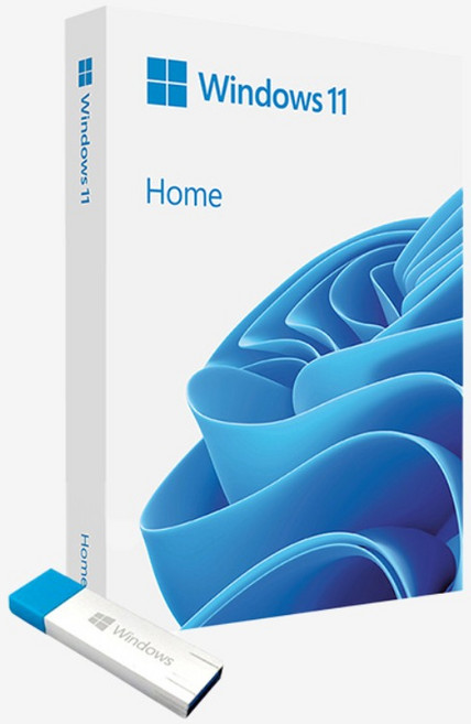 마이크로소프트 Windows 11 Home 처음사용자용 FPP USB, HAJ-0095