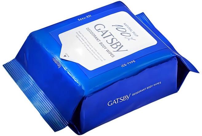 갸스비 아이스 데오도란트 바디 페이퍼 아이스 시트러스 10매 X 5개