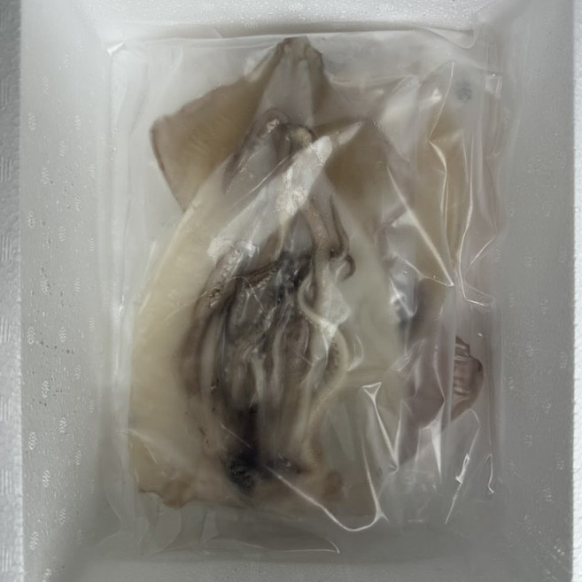 [정담은팜] 원양산 급냉 손질 오징어, 1세트, 2~3미(500g~550g)
