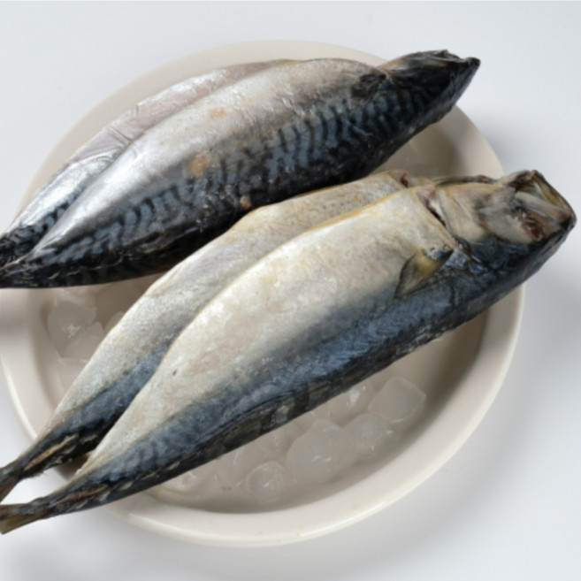 무진물산 노르웨이 자반 간고등어, 6개, 850g 왕특