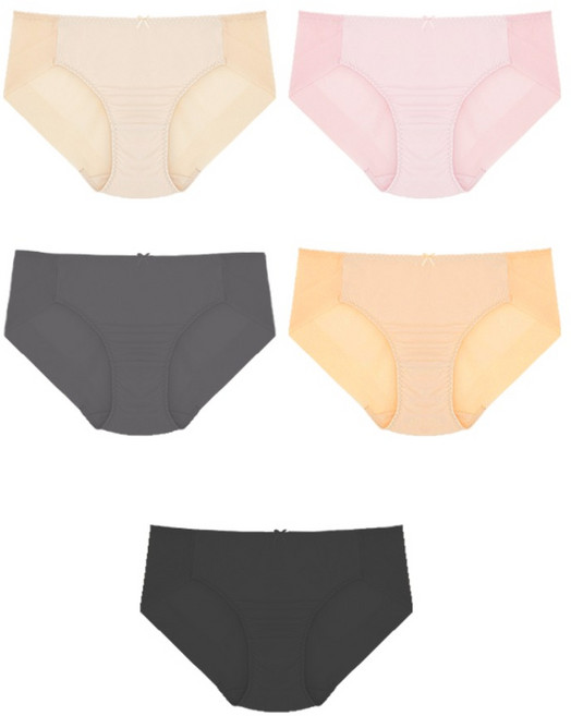 인따르시아 여성용 실크터치 노라인 햄팬티 5종 세트