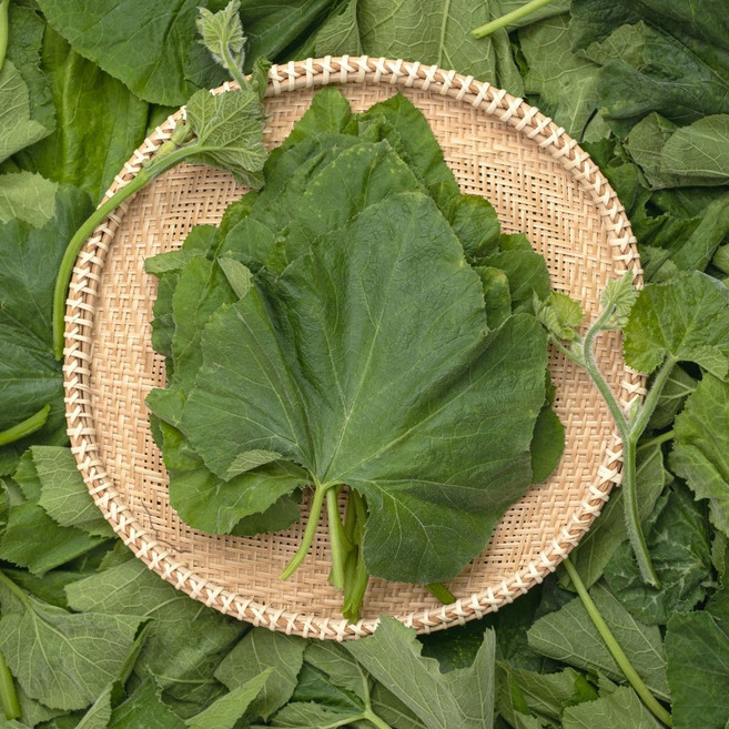 조선 토종 호박잎, 1박스, 400g