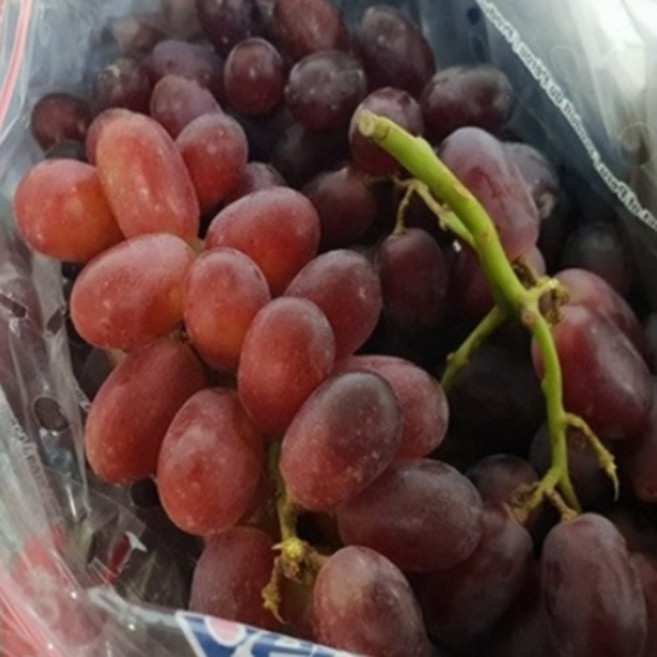 씨없는 포도 크림슨 적포도, 1개, 1kg